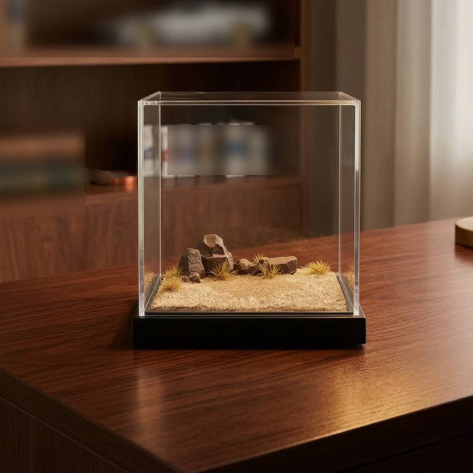 منصة عرض مصغرة شفافة مع غطاء أ - مراجعة Display Case Acrylic وسعره